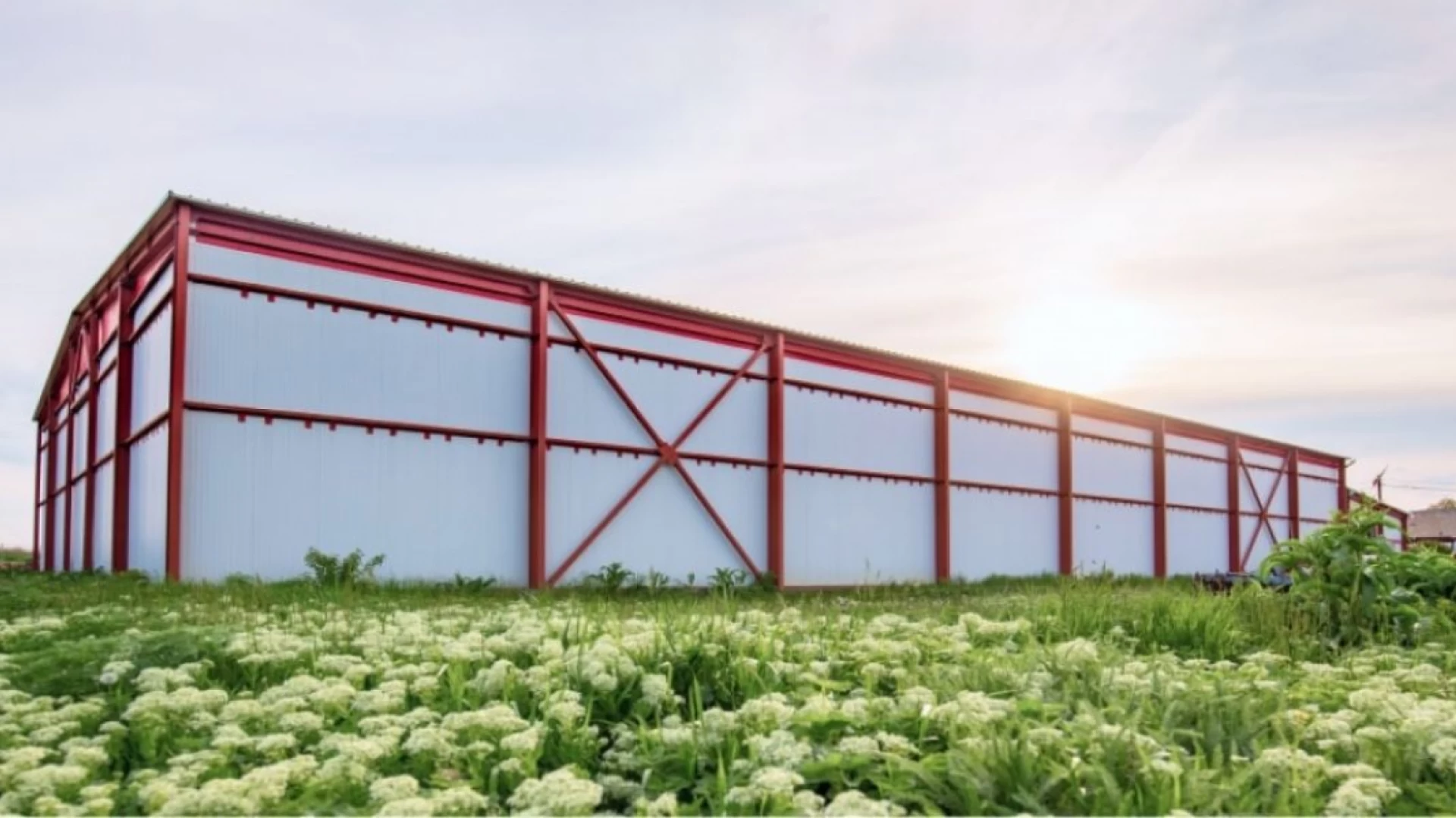 Dezinfectare cu Ozon O3 în frigidere industriale și depozite frigorifice