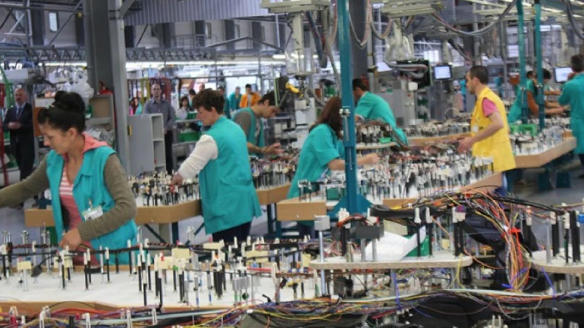 Deratizare, dezinsecție, dezinfecție cu ozon O3 pentru fabrici